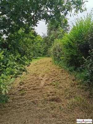 Terrain constructible - 2 388 m²