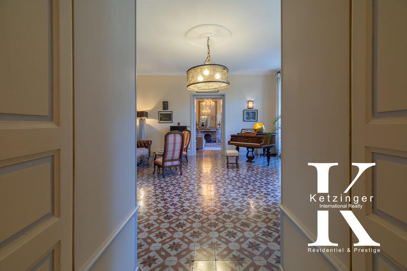 Château - 1 450 m² - 28 pièces