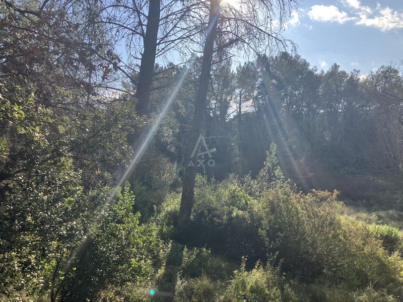 Terrain constructible - 11 000 m²