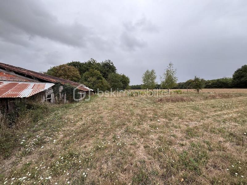 Maison ancienne - 167 m² - 5 pièces