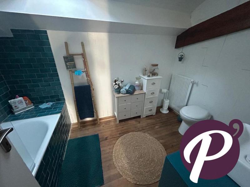 Maison bourgeoise - 400 m² - 10 pièces