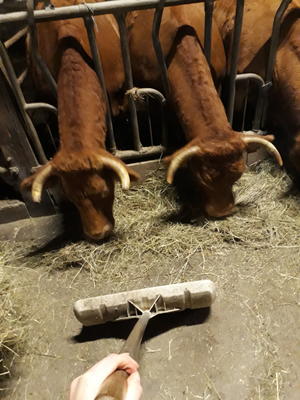 Ferme de la Grande Houssaie