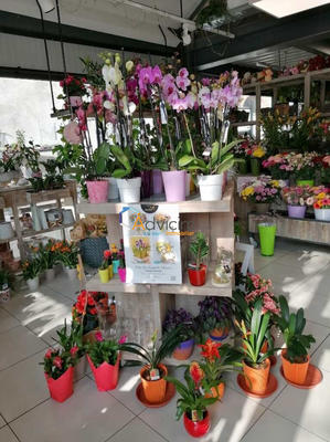 Fonds de commerce - Magasins - 144 m²