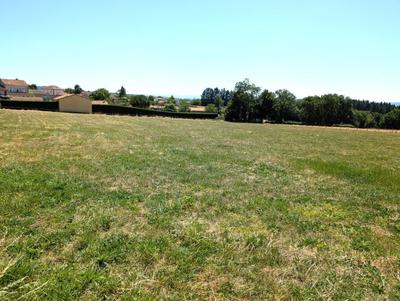 Terrain - 1 000 m²