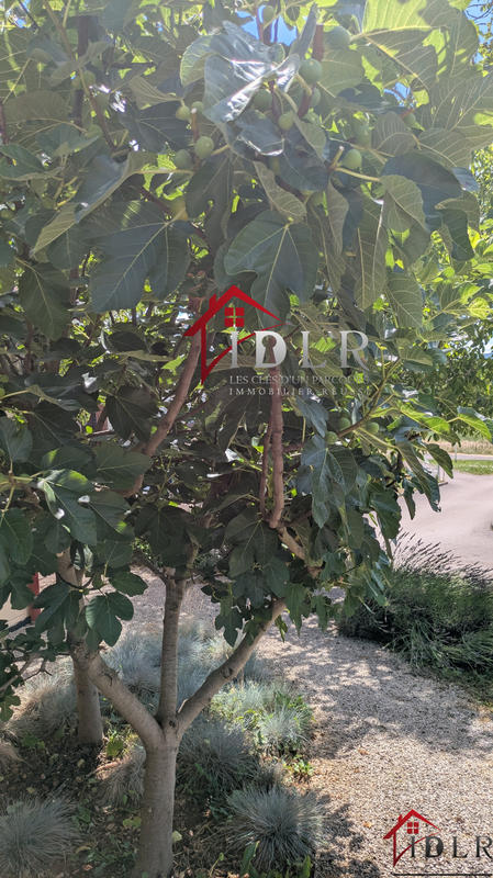 Maison - 138 m² - 6 pièces