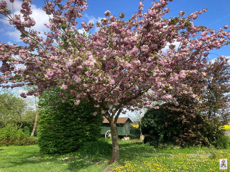 Maison ancienne - 148 m² - 6 pièces