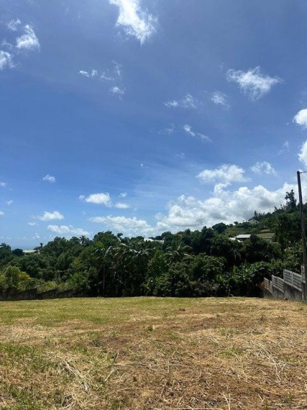 Terrain constructible - 716 m²