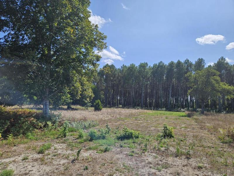 Terrain constructible - 1 600 m²