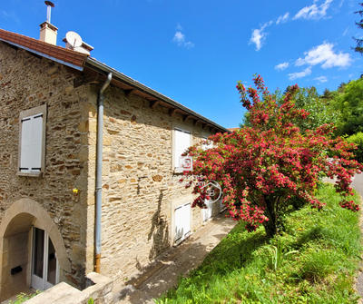 Maison - 425 m² - 21 pièces