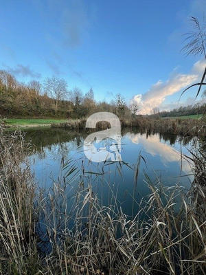 Terrain de loisirs - 4 249 m²