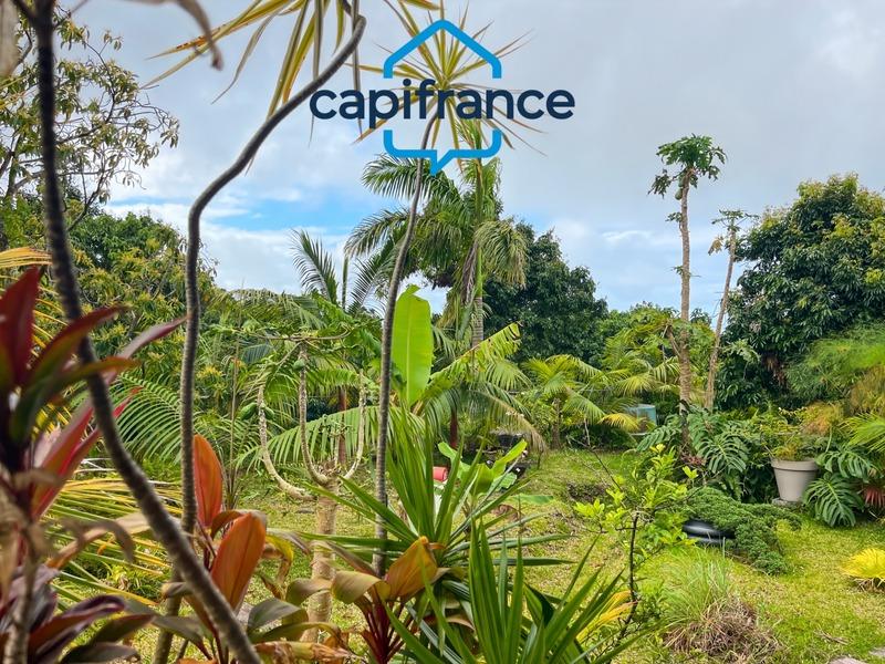 Fonds de commerce - 330 m²