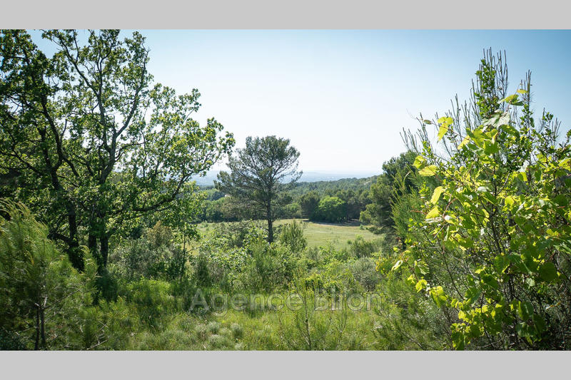 Propriété - 700 m² - 10 pièces