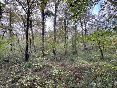 Terrain - 82 016 m²