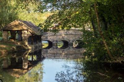 Studio - 22 m² - 1 pièce