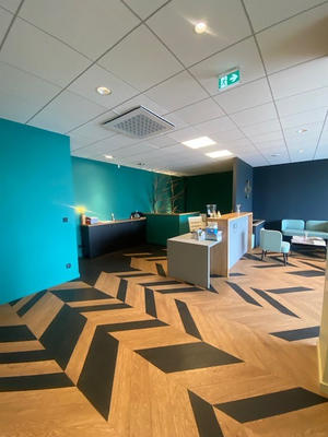 Bureau - 345 m² - 6 pièces