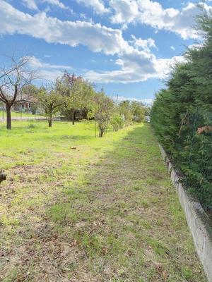 Terrain - 1 004 m²