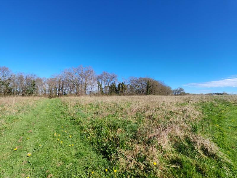 Maison - 263 m² - 12 pièces