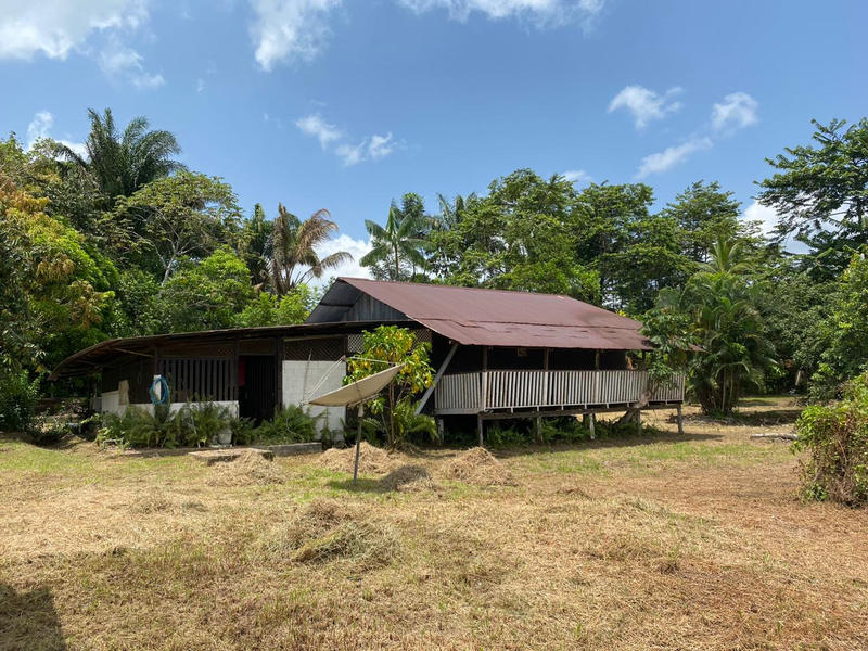 Terrain agricole - 62 539 m²