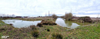 Terrain agricole - 120 000 m²