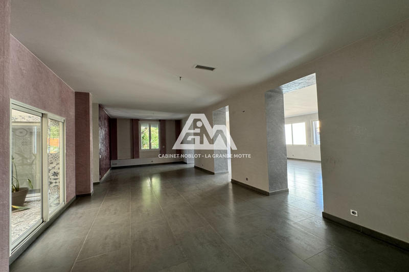 Hôtel particulier - 269 m² - 6 pièces