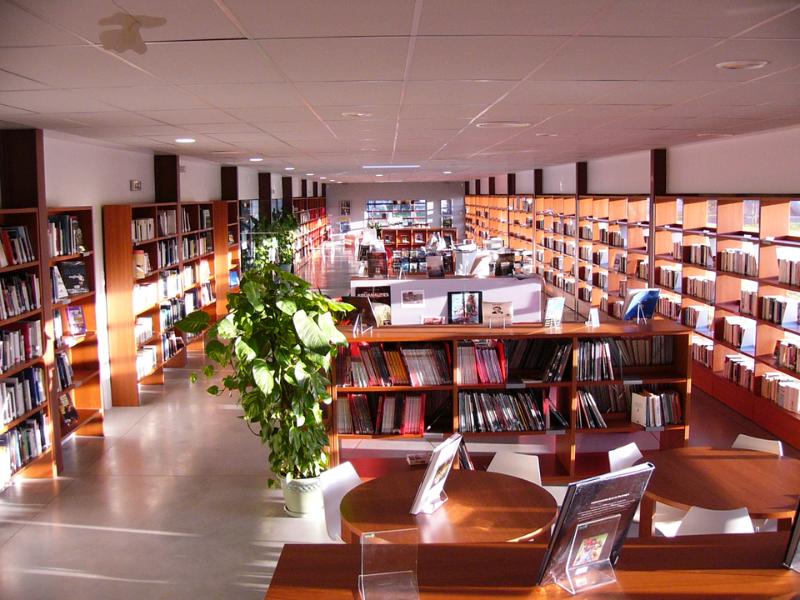 Semaine de la Biodiversité - l'heure des histoires à Saint-Ciers-sur-Gironde