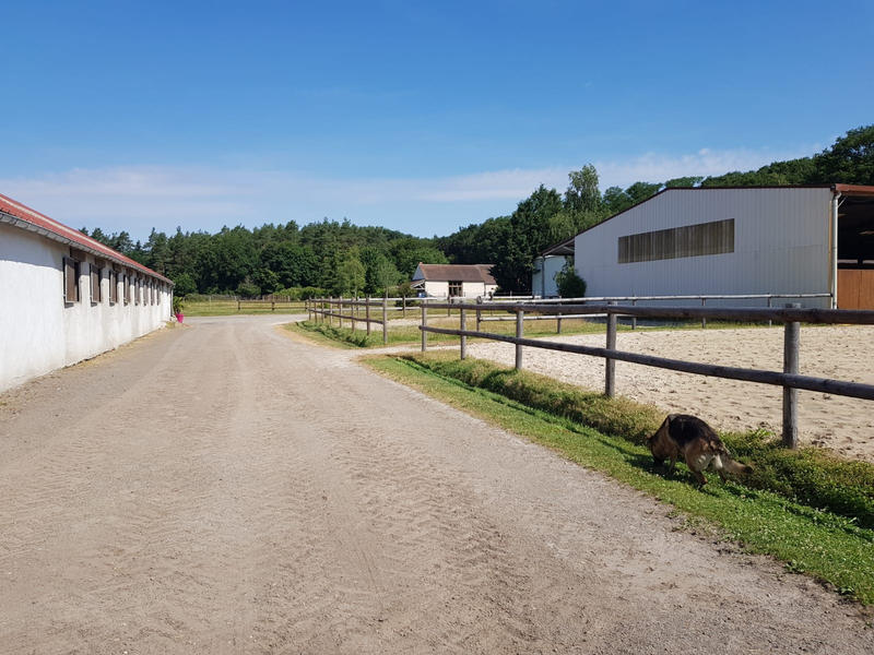 Maison - 300 m² - 8 pièces