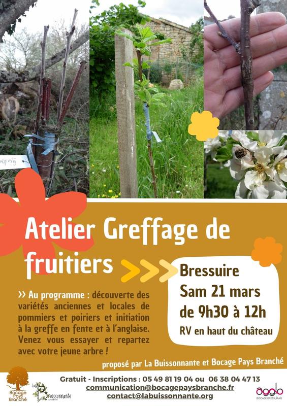 Sortie nature - Atelier greffage d'arbres fruitiers