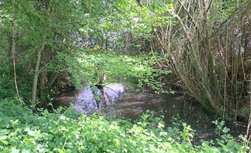 Maison de campagne - 230 m² - 6 pièces