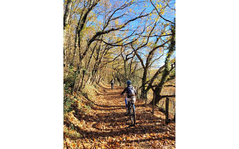 Sortie Mendi Gaiak : Randonnée en Vtt électrique