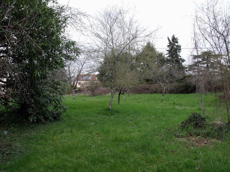 Terrain - 1 250 m²