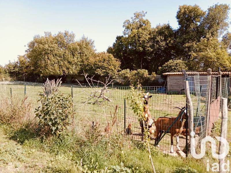 Maison - 244 m² - 9 pièces