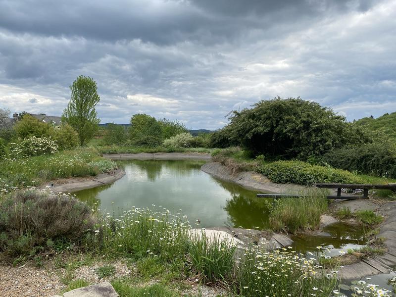 Maison ancienne - 212 m² - 4 pièces