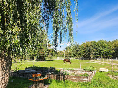 Maison - 300 m² - 10 pièces