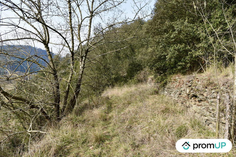 Terrain agricole - 2 780 m²