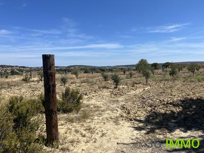 Terrain agricole - 3 341 m²