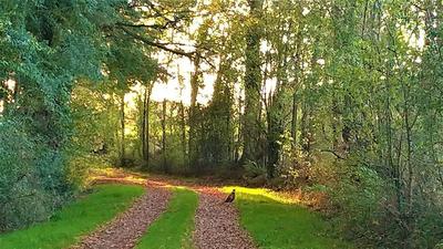 Terrain - 810 000 m²