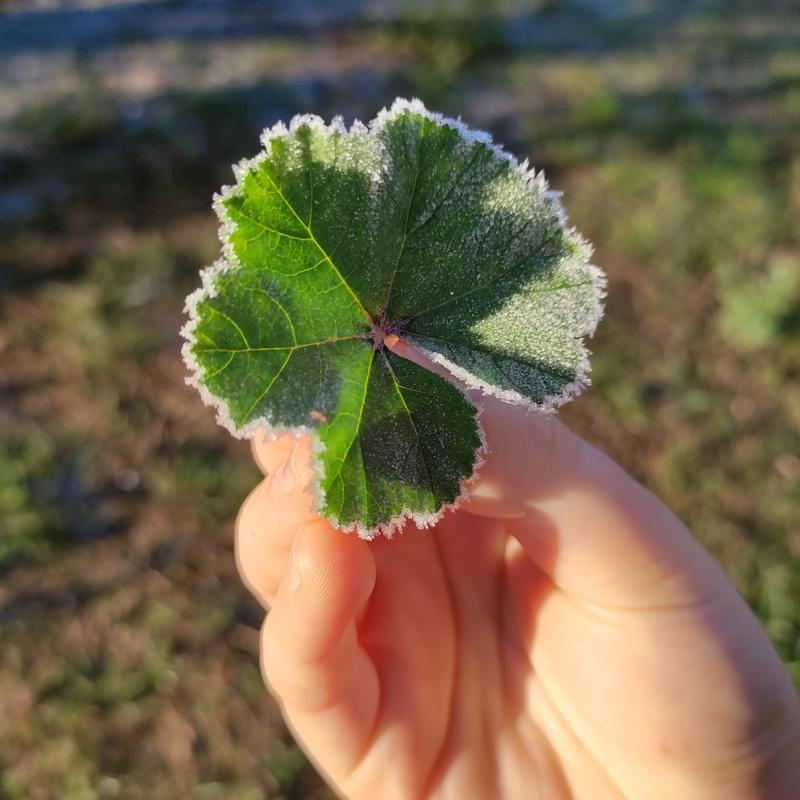 Mardi matin j'ai rando