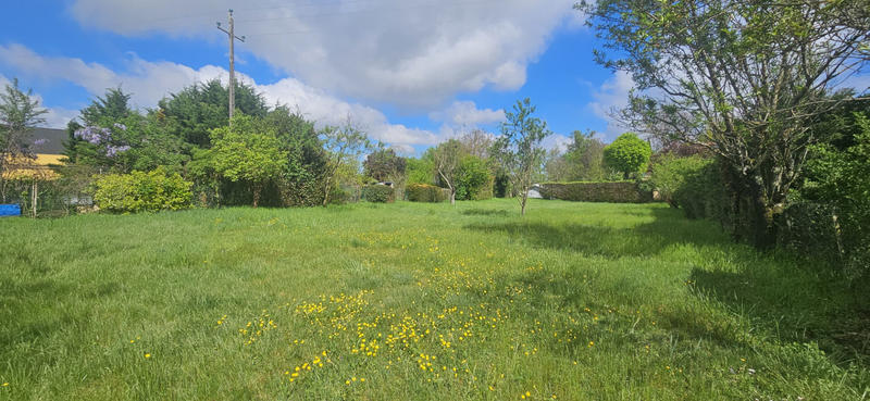 Terrain - 1 165 m²