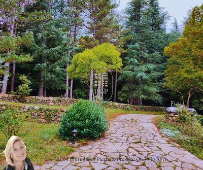 Maison - 270 m² - 8 pièces