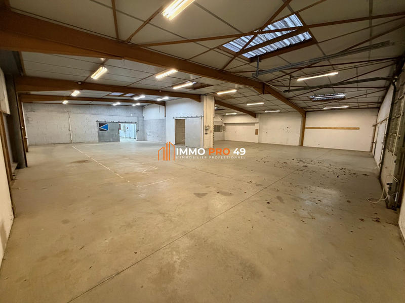 Local d'activités - 600 m²