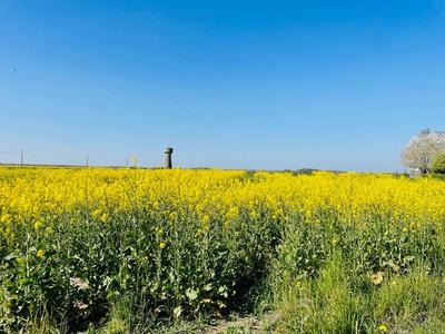 Terrain constructible - 1 166 m²