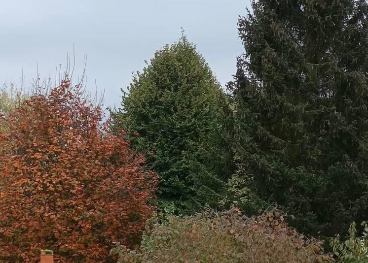 Appartement - 36 m² - 3 pièces