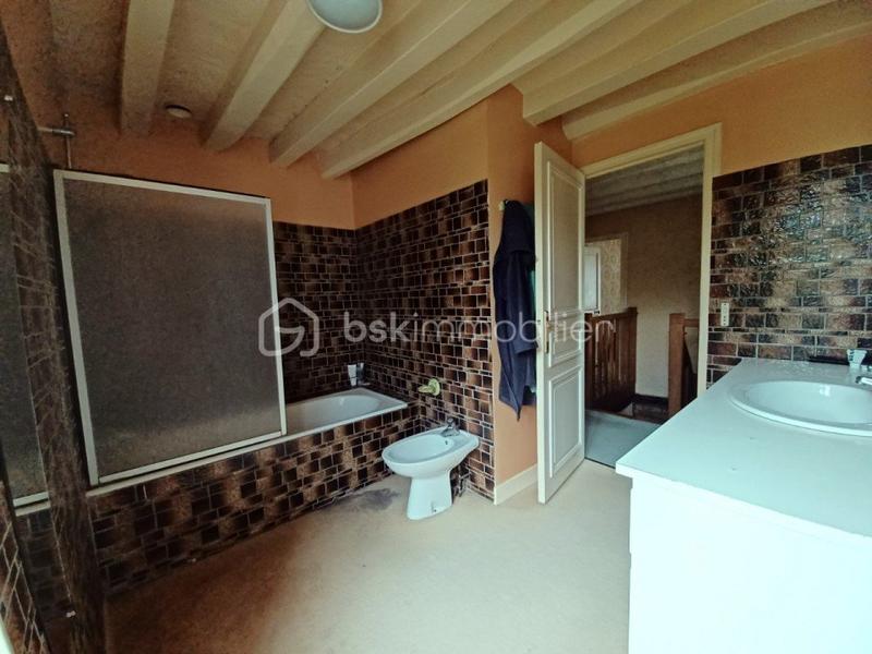 Moulin - 216 m² - 10 pièces