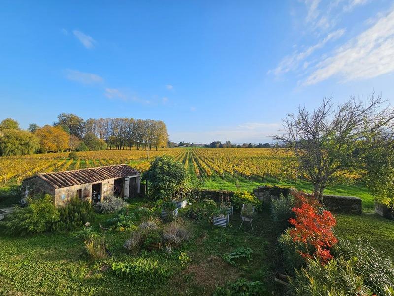 Maison en pierre - 175 m² - 7 pièces