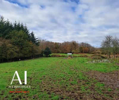 Maison ancienne - 160 m² - 6 pièces