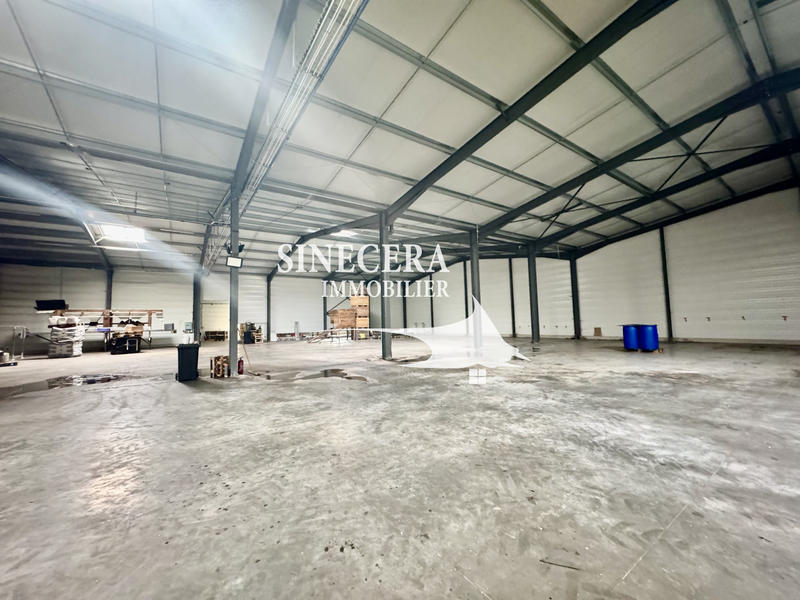 Local d'activités - 10 102 m²