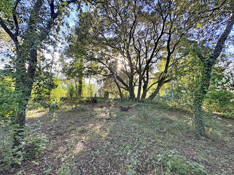 Maison - 28 m² - 1 pièce