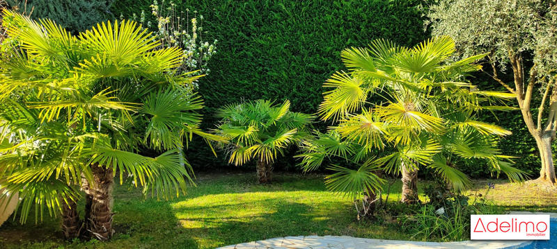 Villa - 266 m² - 8 pièces