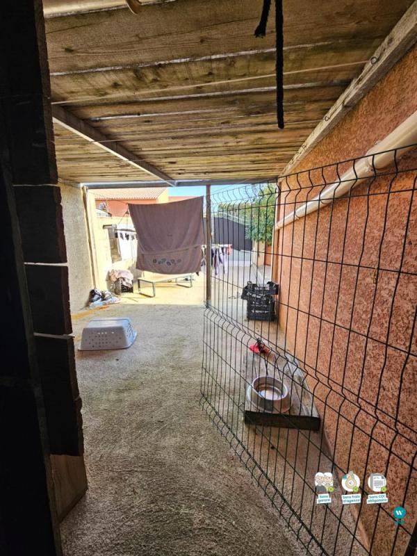 Appartement - 55 m² - 2 pièces