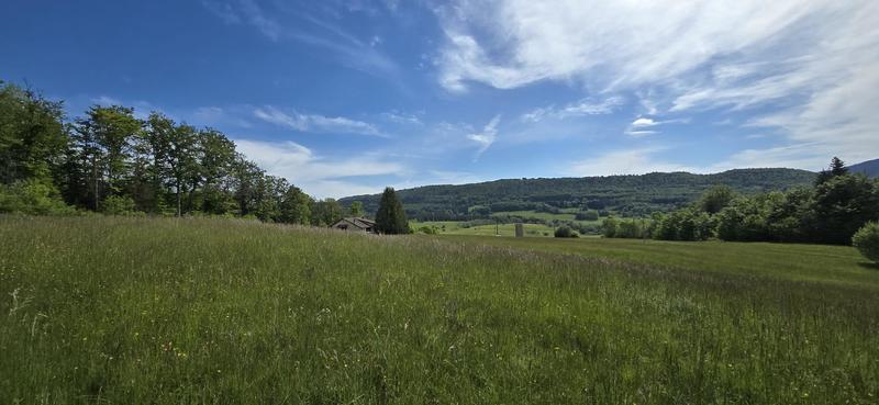 Maison en pierre - 441 m² - 13 pièces